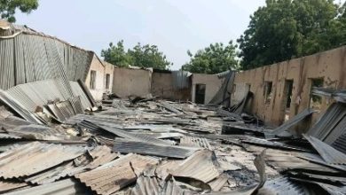 Debris of a collapsed building with corrugated metal sheets scattered on the ground under a clear sky. Trees are visible in the background.
